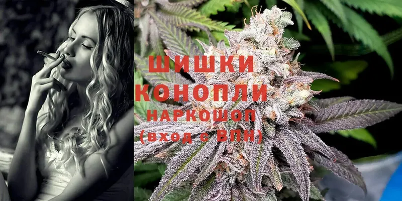 Бошки Шишки THC 21%  продажа наркотиков  Георгиевск 